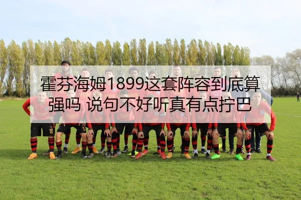 霍芬海姆1899这套阵容到底算强吗 说句不好听真有点拧巴
