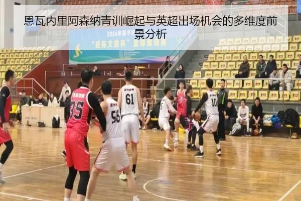恩瓦内里阿森纳青训崛起与英超出场机会的多维度前景分析 | c7c7·app